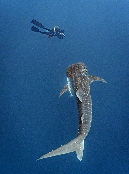 49a2fa182d25387bbdceb5533134199b_1 민경호 MKH01303.jpg